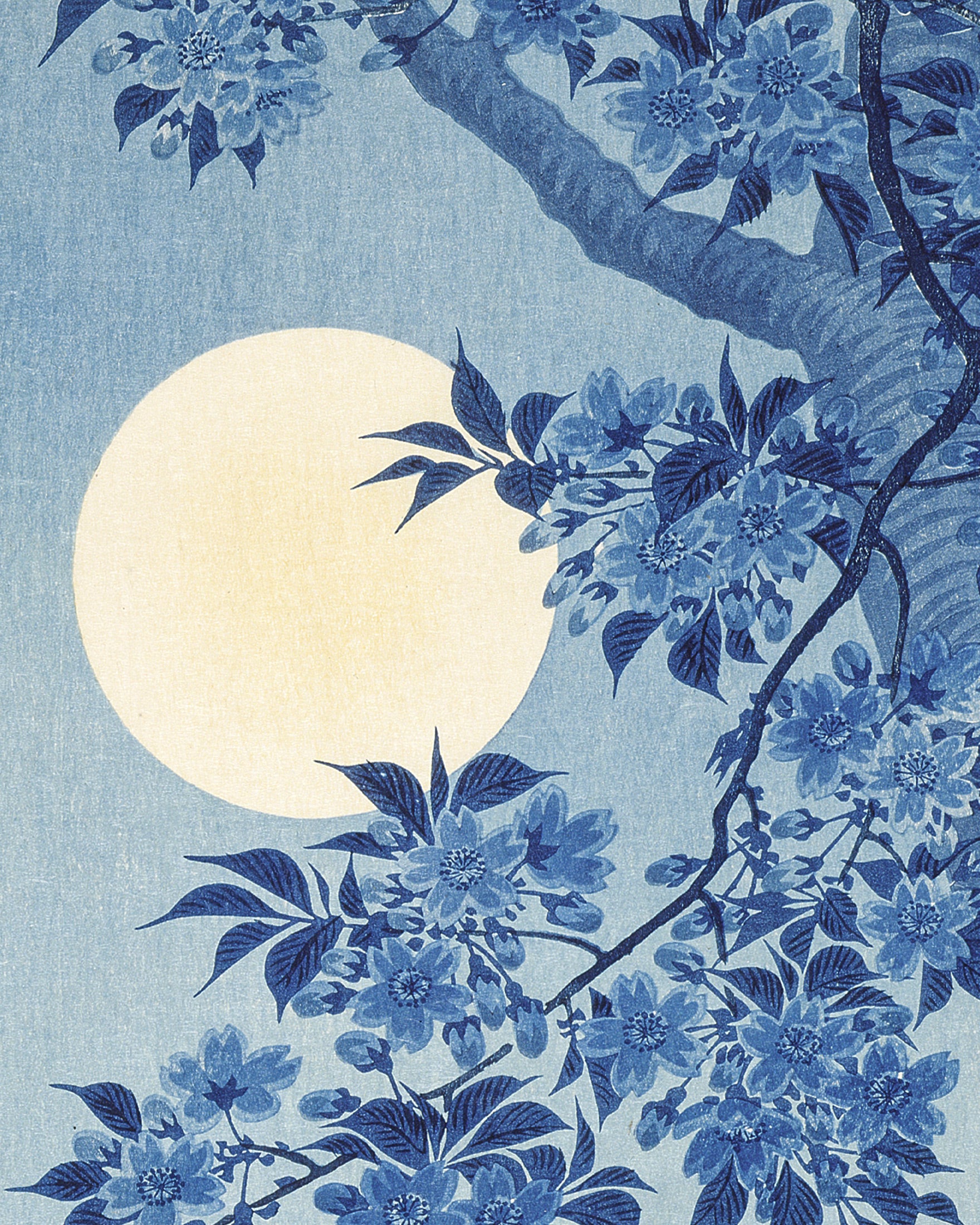 Blossoming Cherry on a Moonlit Night, Ohara Koson - Poster
