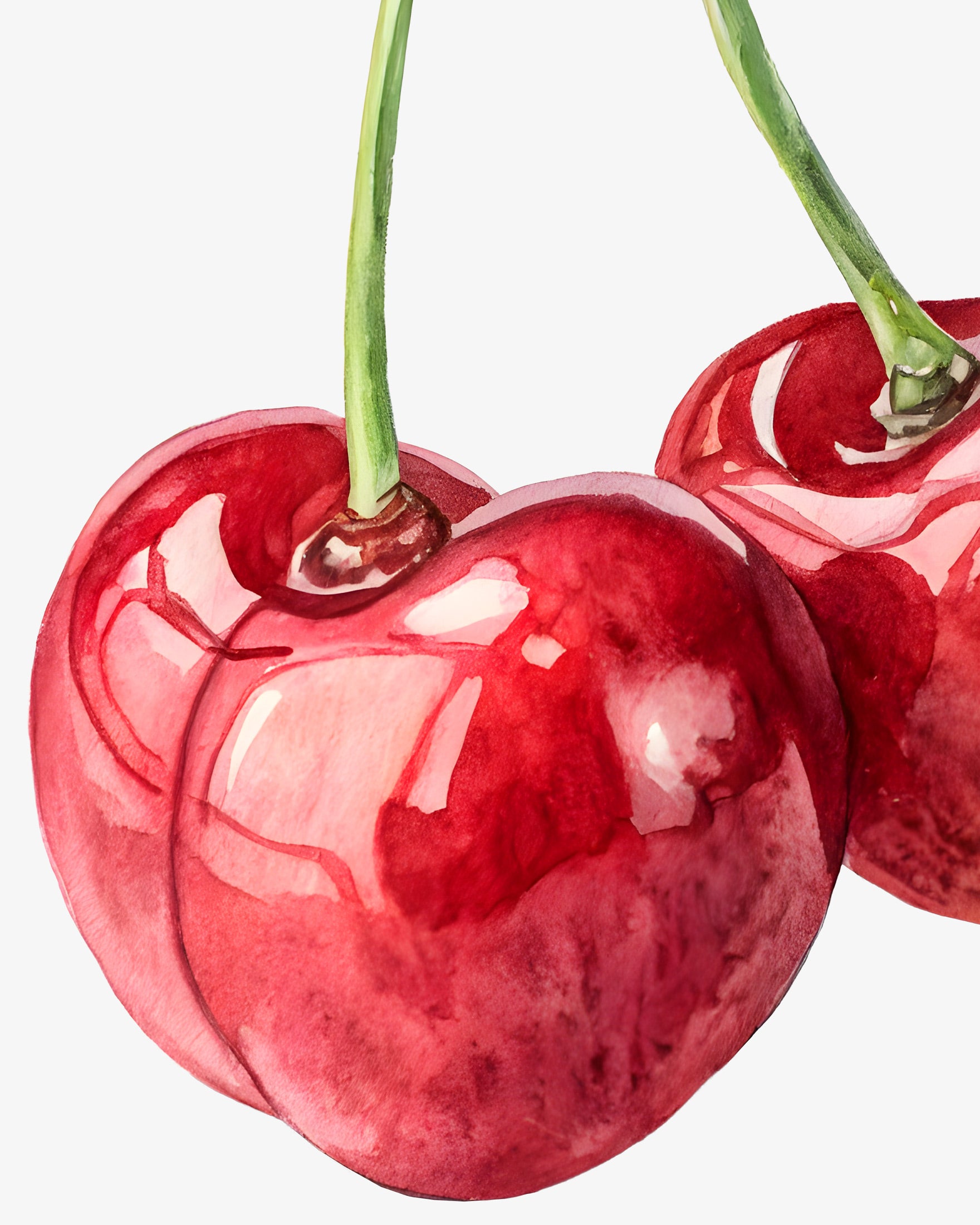 Watercolour Cherry Illustration – Fruit-Themed Wall Art Print