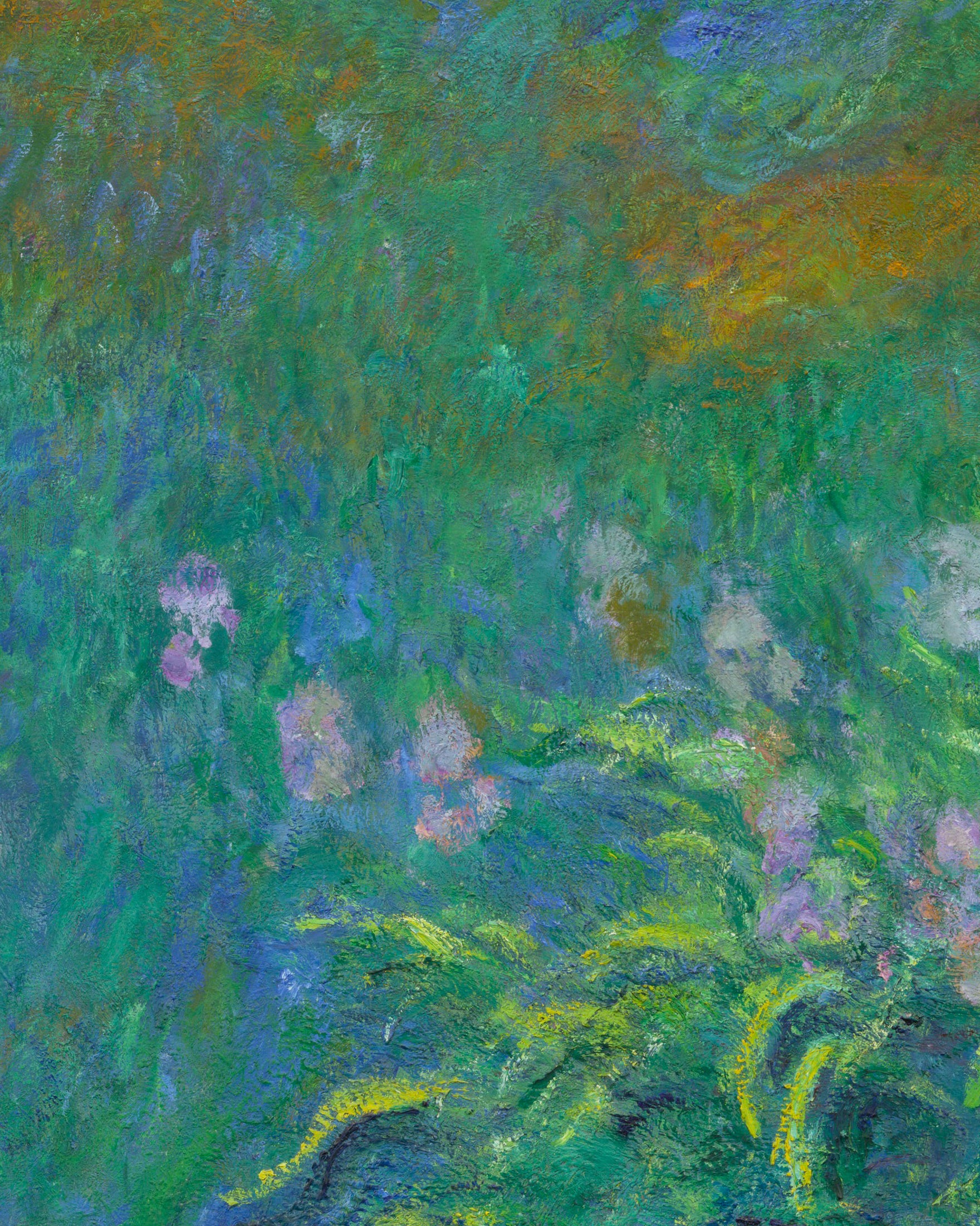 Claude Monet Iris - Fine Art Print