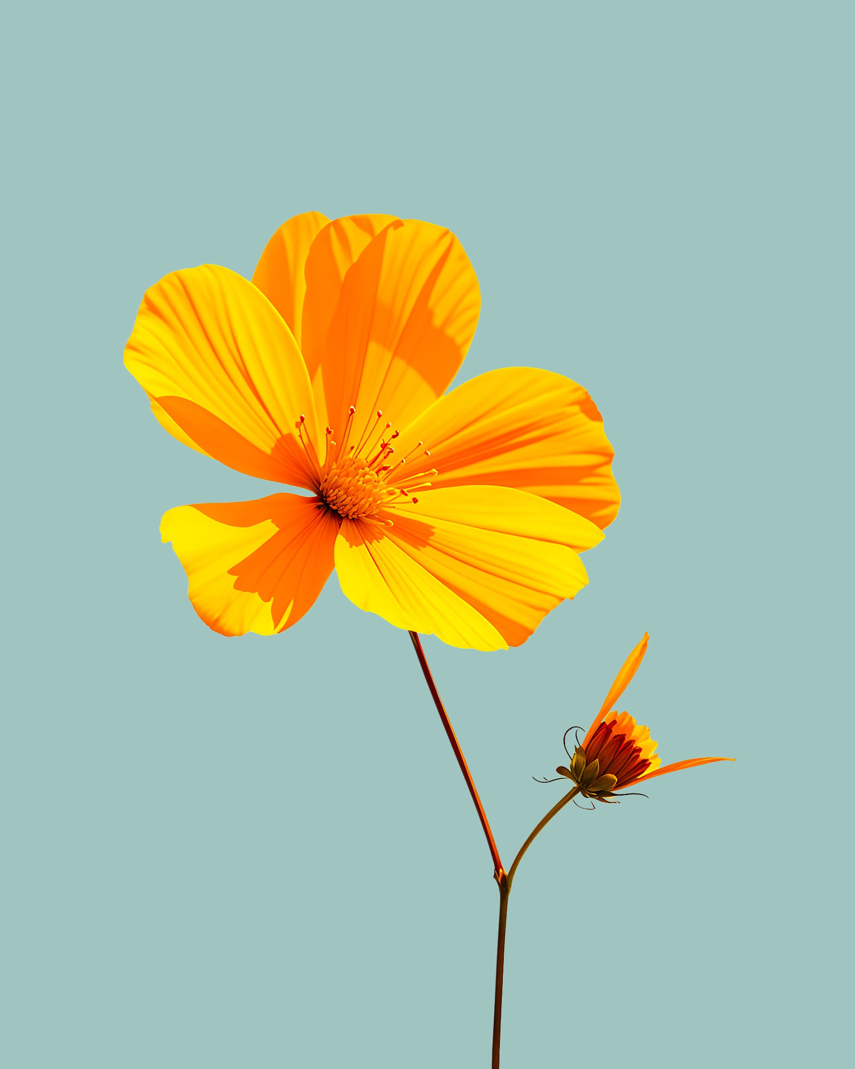 Yellow bloom against Le Corbusier’s palette – Select your preferred backdrop shade! – Print