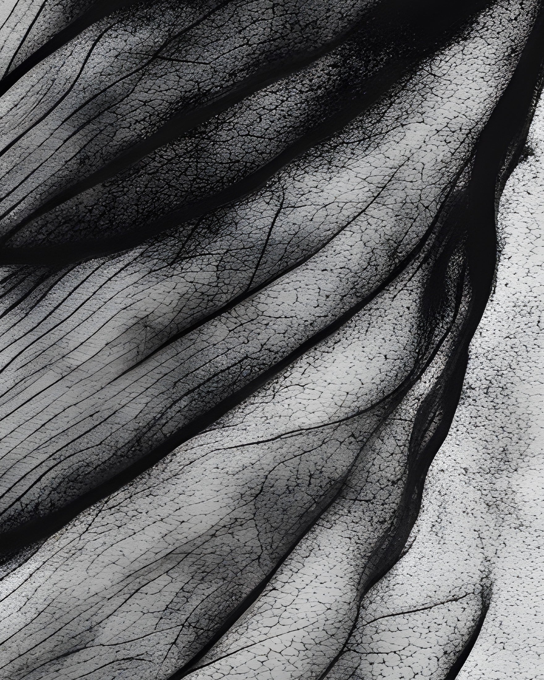 Monochrome Leaf Print – Poster