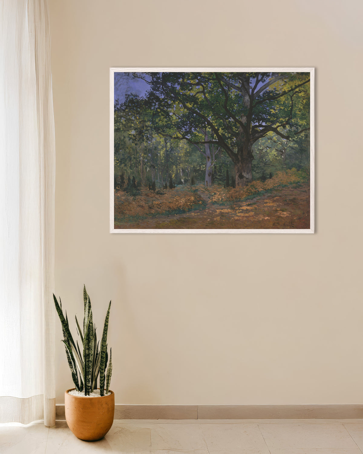 Poster of The Bodmer Oak, Fontainebleau Forest (1865) by Claude Monet, with white wooden frame