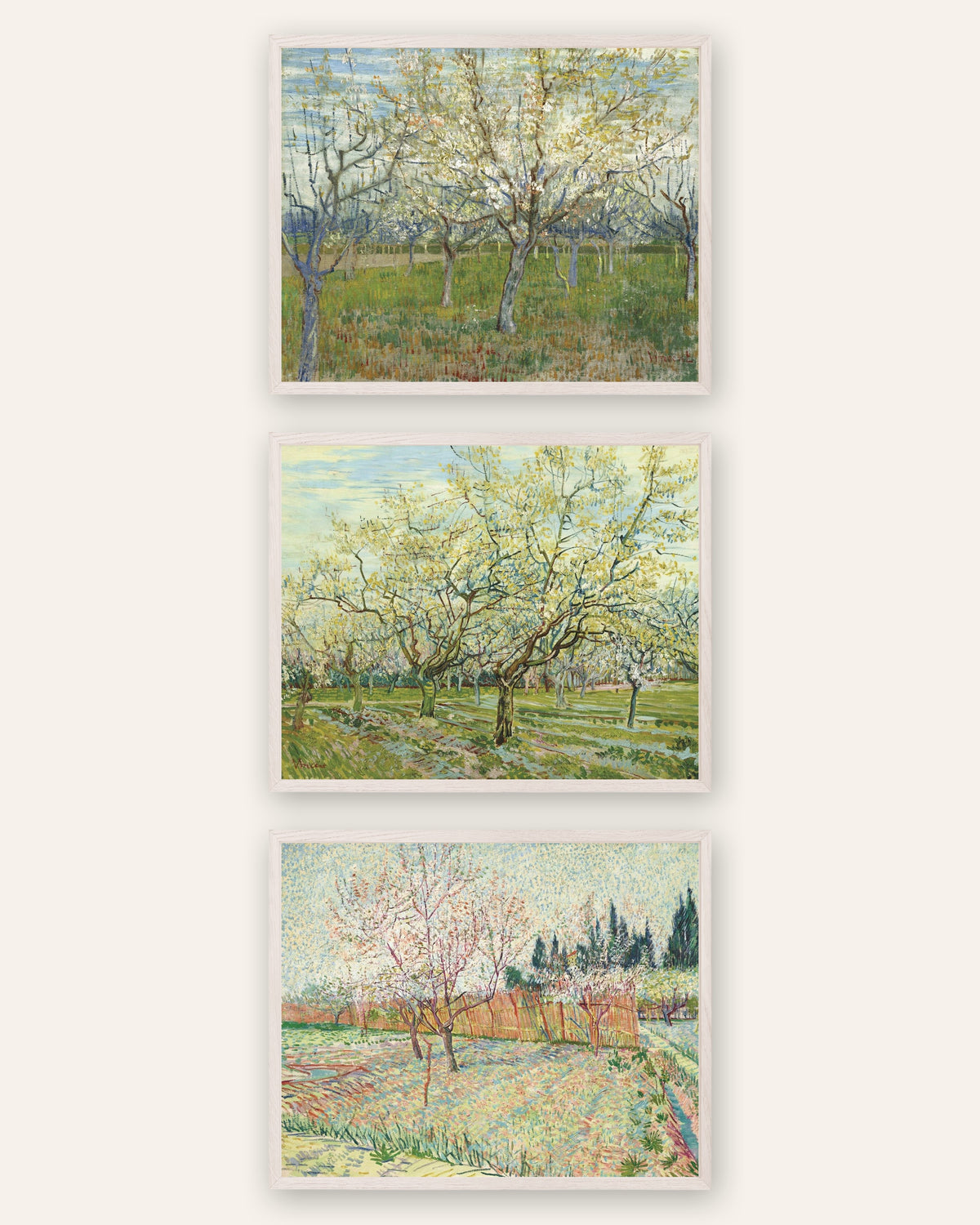 Van Gogh Orchard Prints Set of 3 – Pink, White & Cypress Orchards, prints in white oak frames