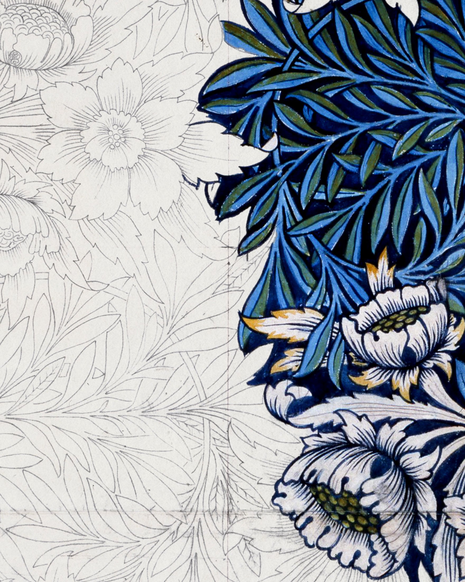 William Morris, preparatory work - Poster