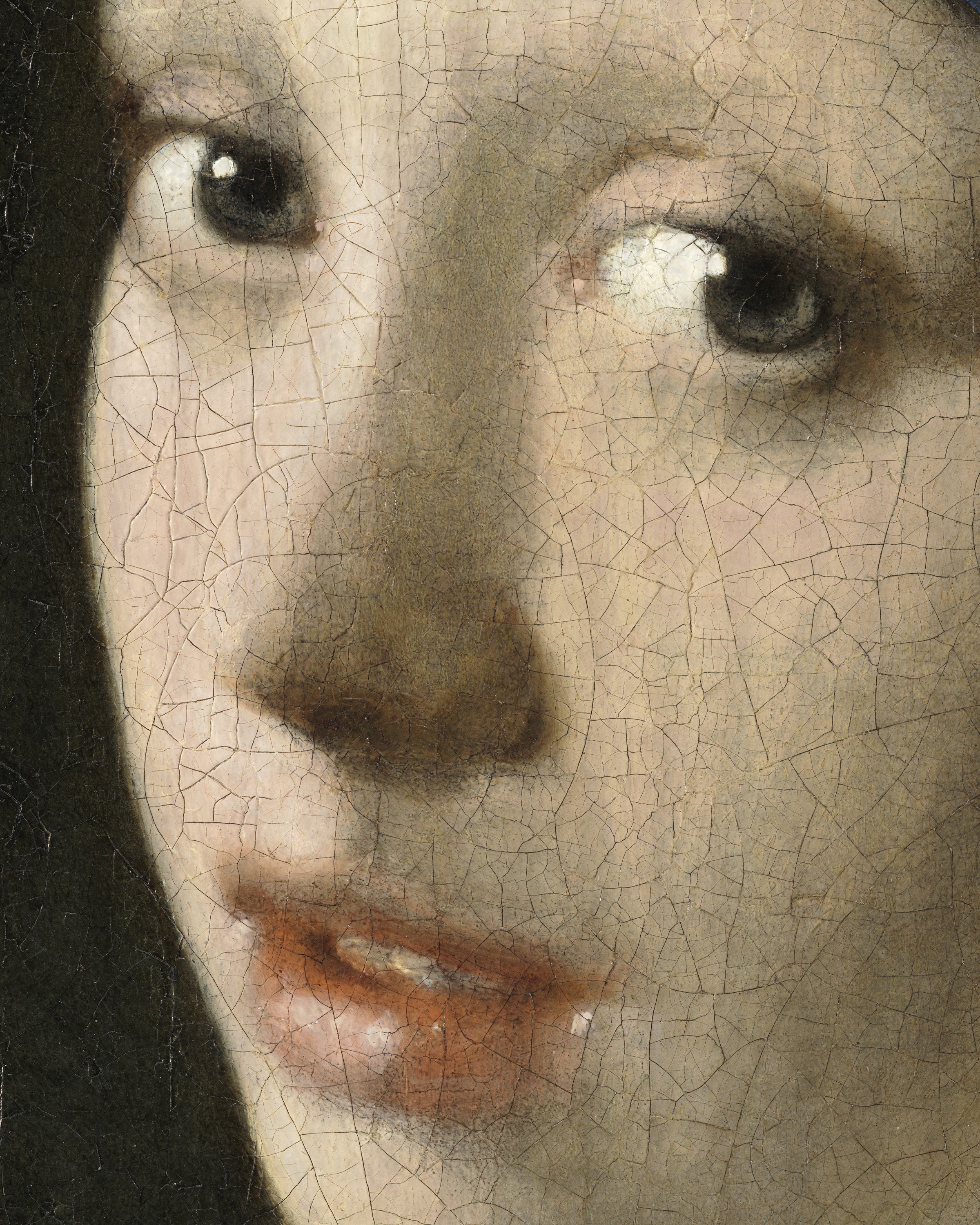 The Face - Vermeer Girl with a Pearl Earring Detail Poster