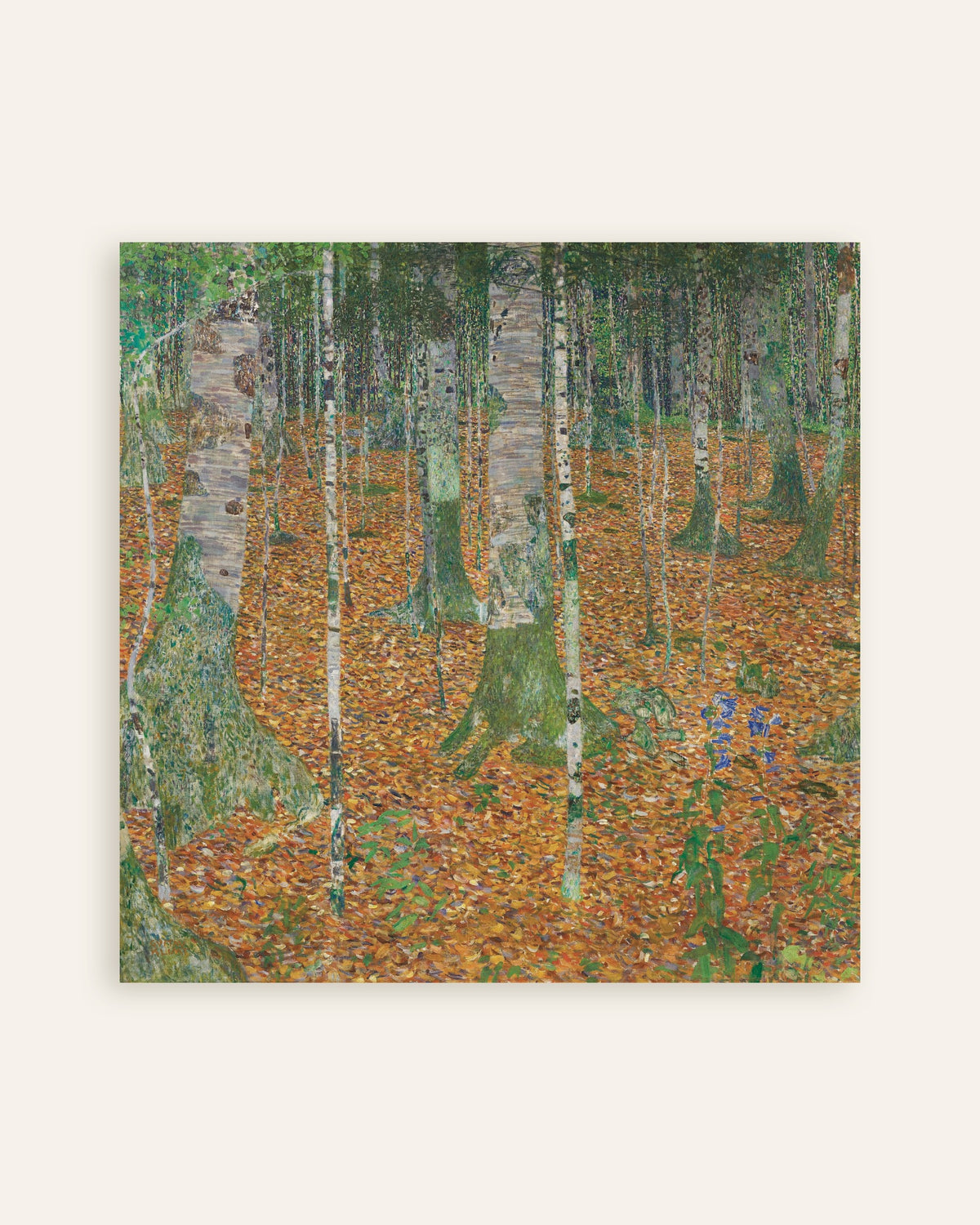 Poster of Birch Forest (1903) by Gustav Klimt, thumbnail