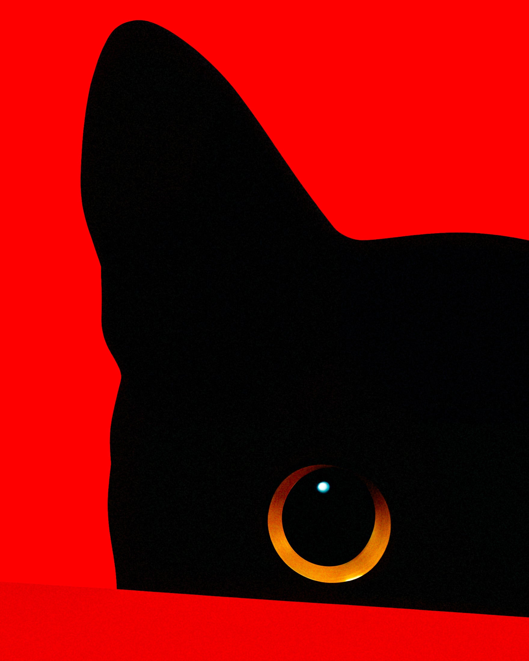 Feline Peering Over a Crimson Brickwork – Print
