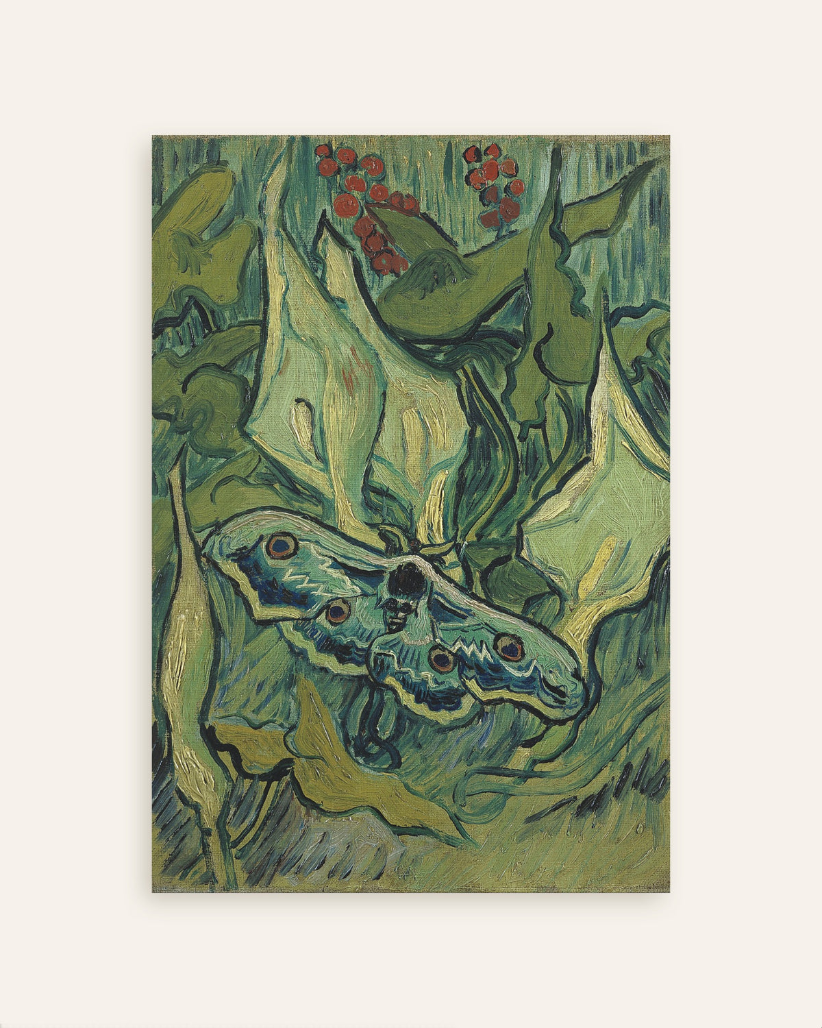 Poster of Emperor Moth (1889) by Vincent van Gogh, thumbnail