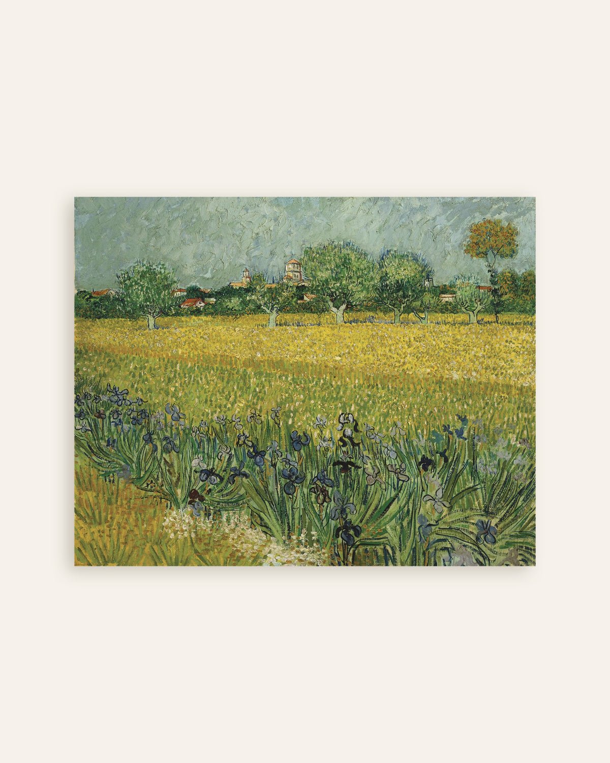 Poster of Field with Irises near Arles (1888) by Vincent van Gogh, thumbnail