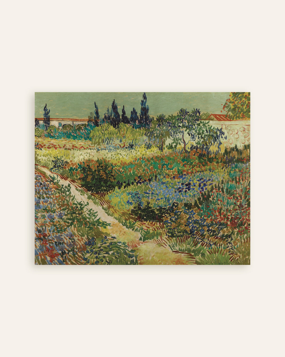 Poster of Garden at Arles (1888) by Vincent van Gogh, thumbnail
