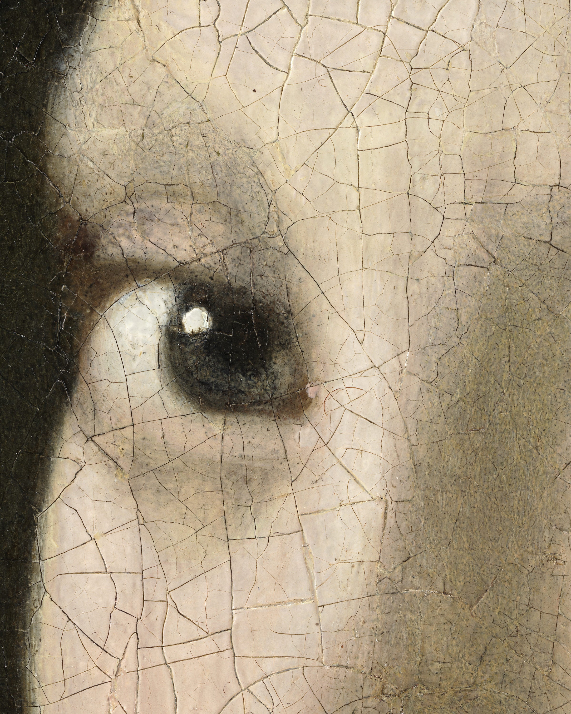 The Gaze - Eyes from Vermeer’s Girl with a Pearl Earring - Poster