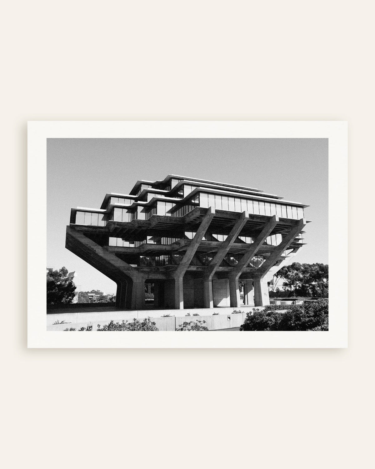 Poster of Library on Concrete Stilts, thumbnail