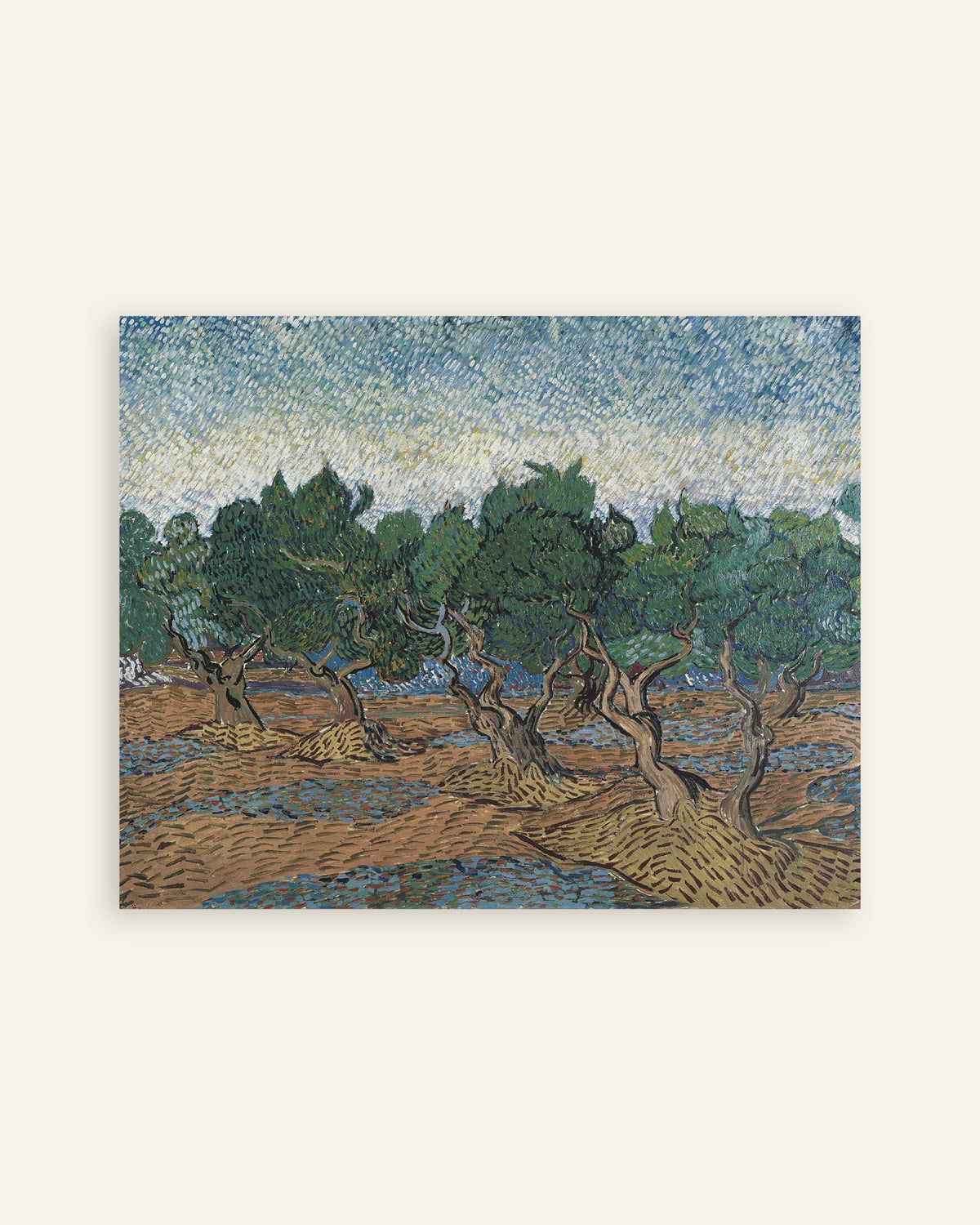 Poster of Olive Grove (1889) by Vincent van Gogh, thumbnail