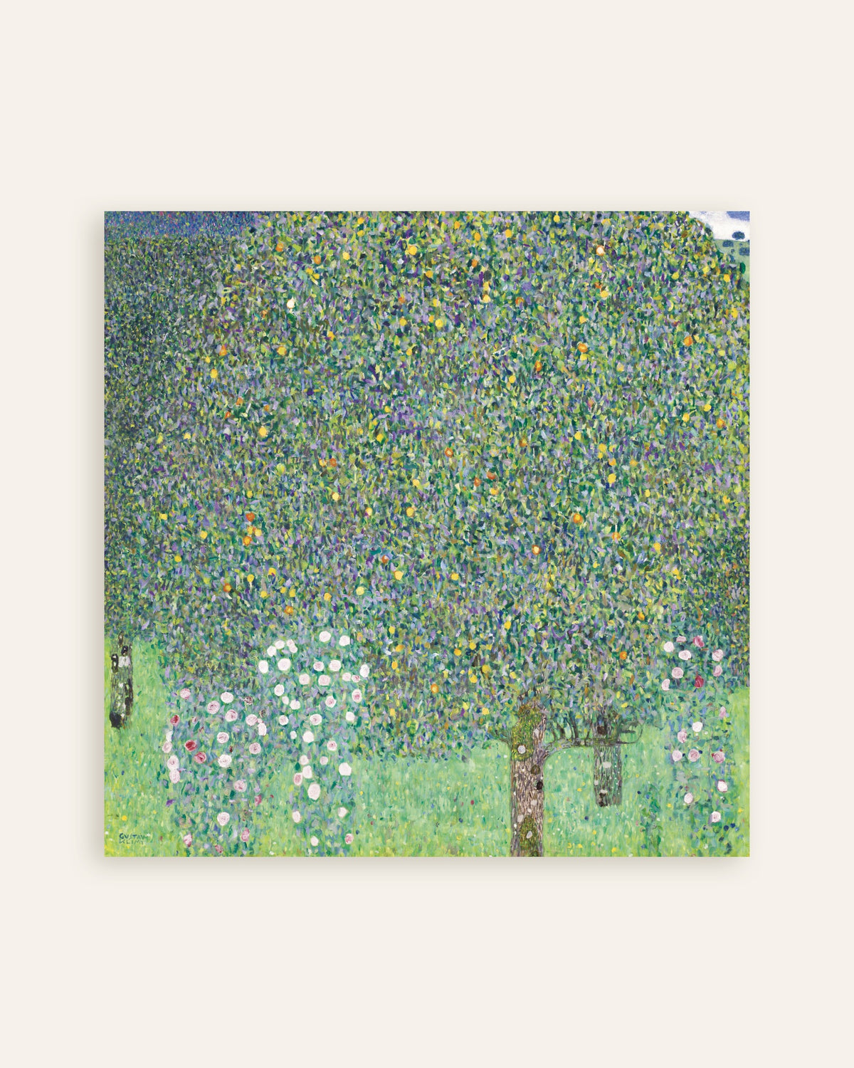 Poster of Rosebushes under the Trees (1905) by Gustav Klimt, thumbnail