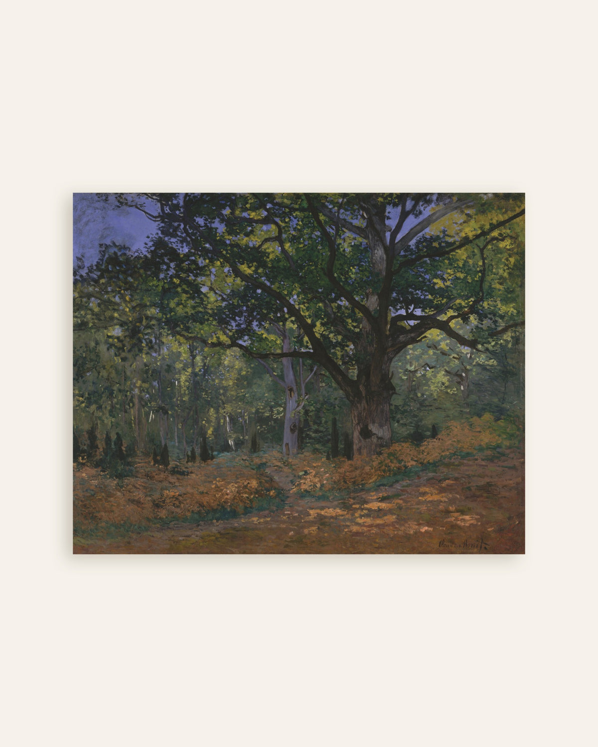 Poster of The Bodmer Oak, Fontainebleau Forest (1865) by Claude Monet, thumbnail