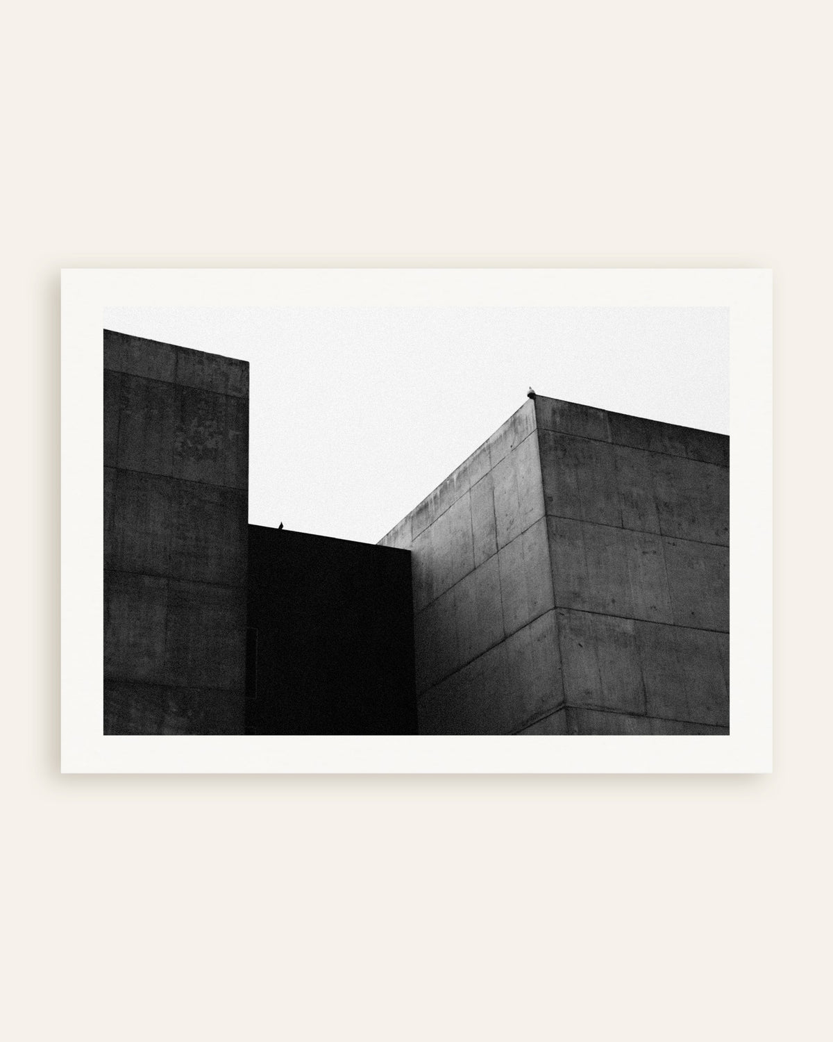 Poster of Two Concrete Blocks and a Bird, thumbnail